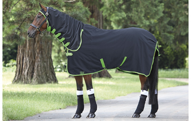 Shires