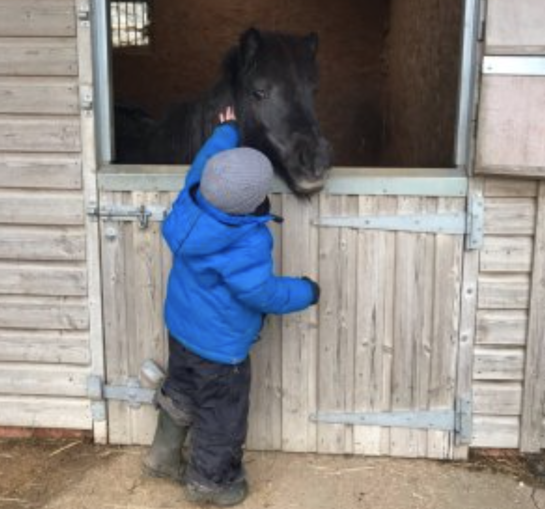 Elle The tiny pony door with a little visitor demonstrating its also useful for little people too