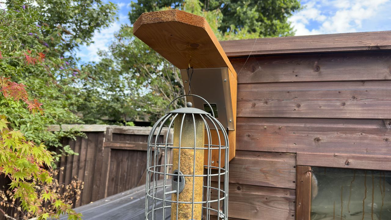 Green Feathers Bird Feeder Camera attached to an outdoors shed