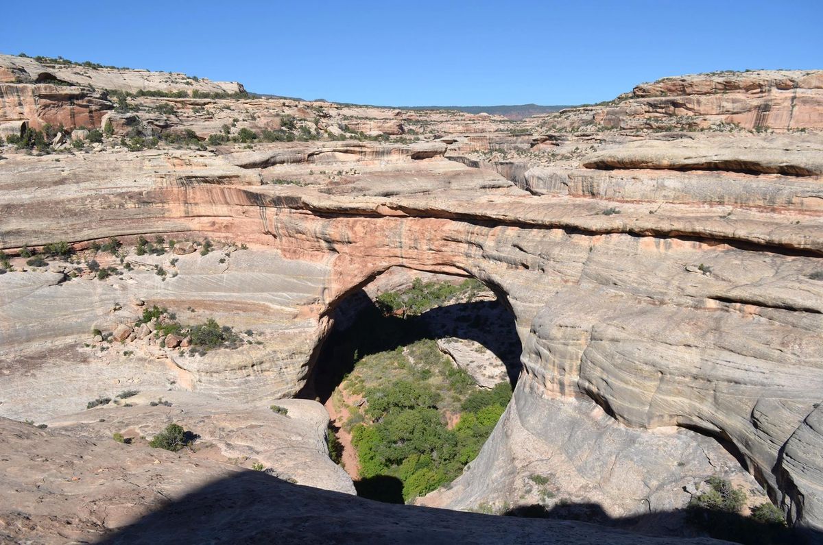 In Photos: How These Stunning Natural Bridges Form and Why They're So ...