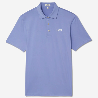 Sun Day Red Fairway Solid Polo in blue