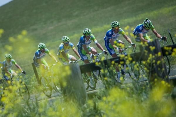 The Liquigas-Cannondale train passes some canola fields