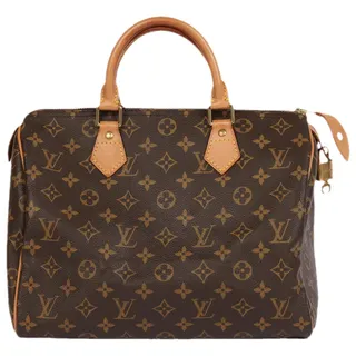 Louis Vuitton, Speedy Leather Handbag