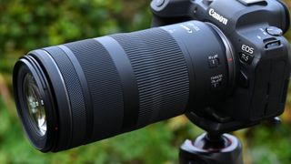 Best lenses for the Canon EOS RP: Canon RF 100-400mm f/5.6-8 IS USM