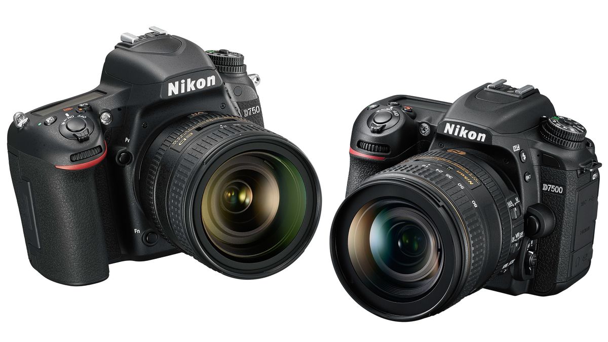 Nikon D750 vs D7500 – what's the difference?