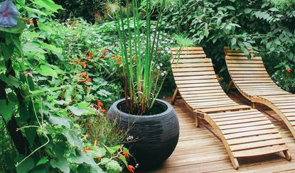 Two wooden loungers on wooden decking area with surrounding foliage and small red flowers
