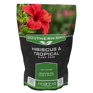 Amazon hibiscus plant food