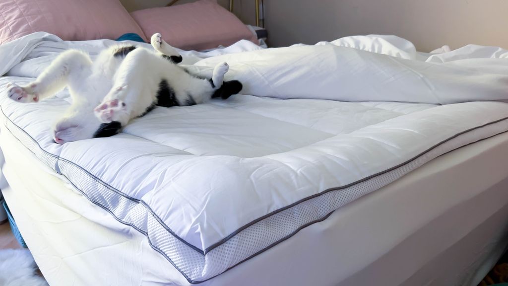 serene hybrid mattress topper review
