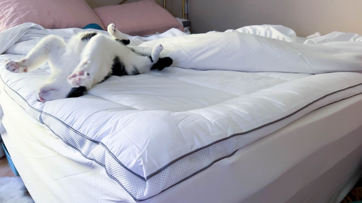 Viscosoft Serene Hybrid Mattress Topper review Tom's Guide