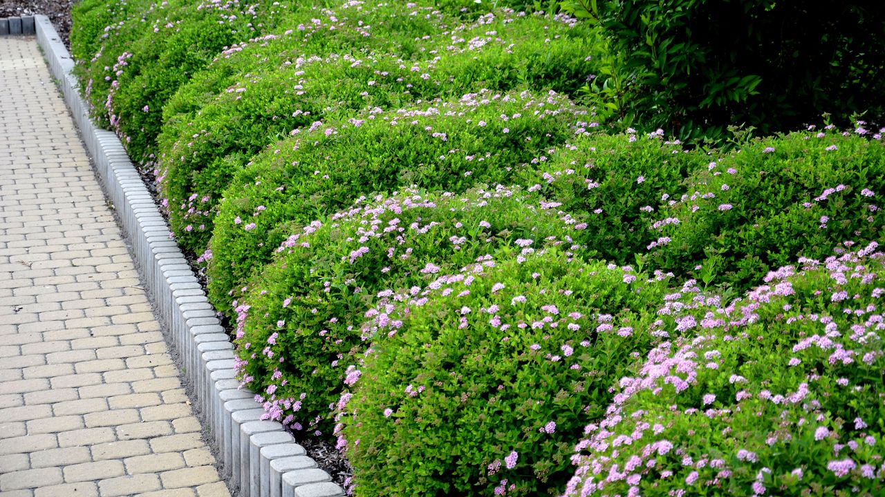 modern edging ideas: grey stone border with flowerbed