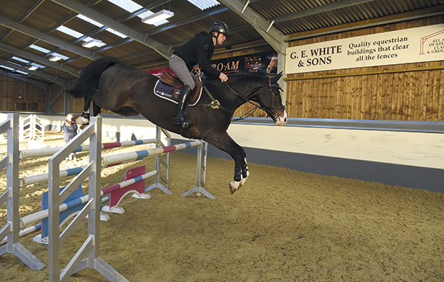 NEW TO USE 3-ShaneBreen_Training_16PN_22938