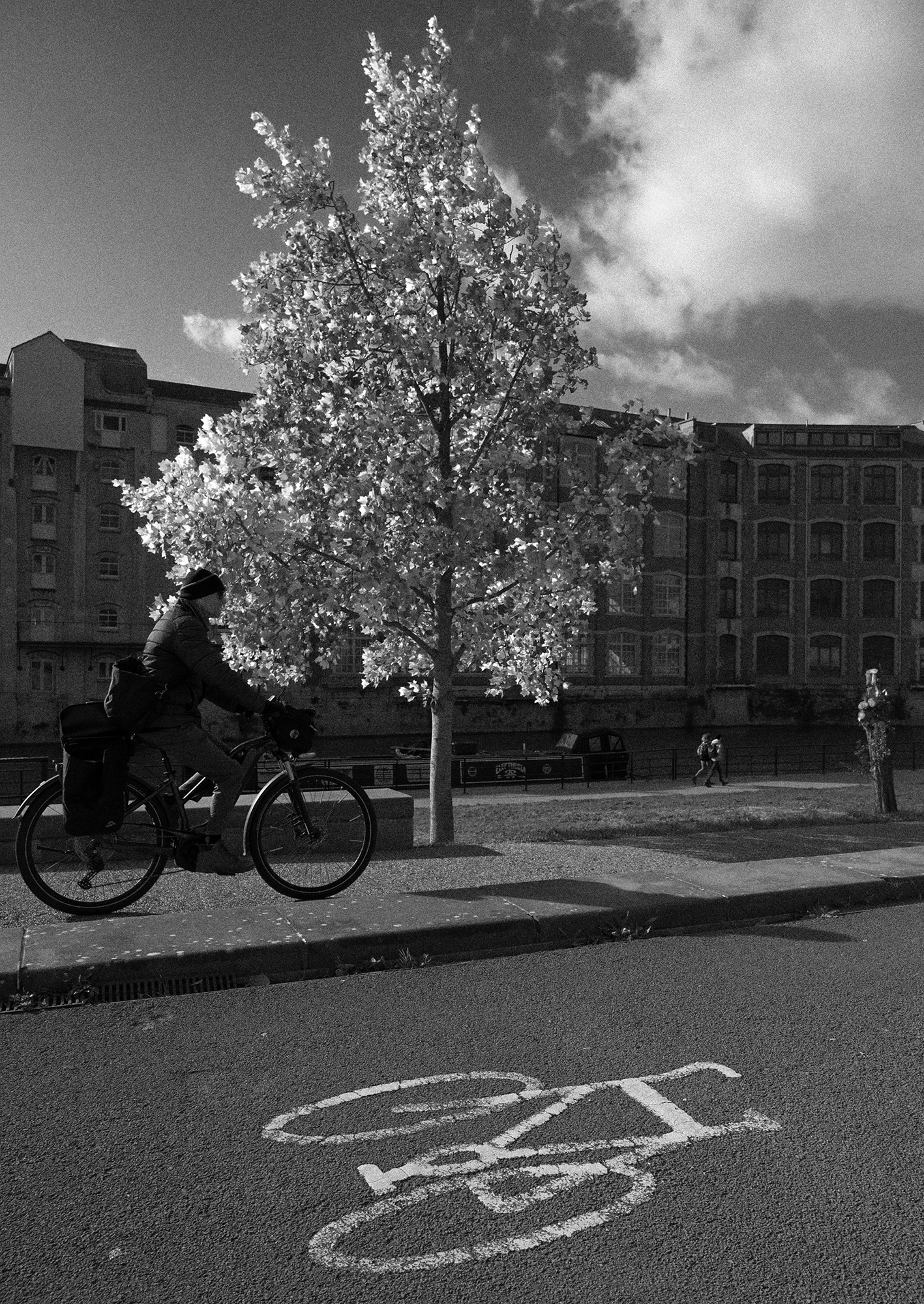 Black and white street photograph of cyclist cycling past lone tree