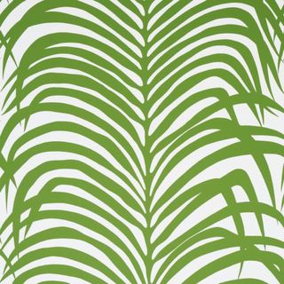 green zebra palm wallpaper