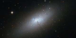 Irregular Galaxy NGC 5253