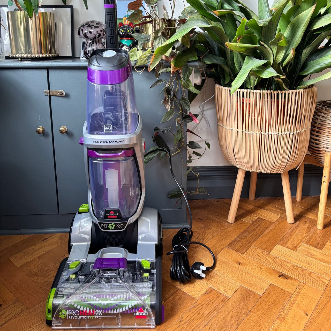 bissell proheat 2x revolution pet pro carpet cleaner in hallway