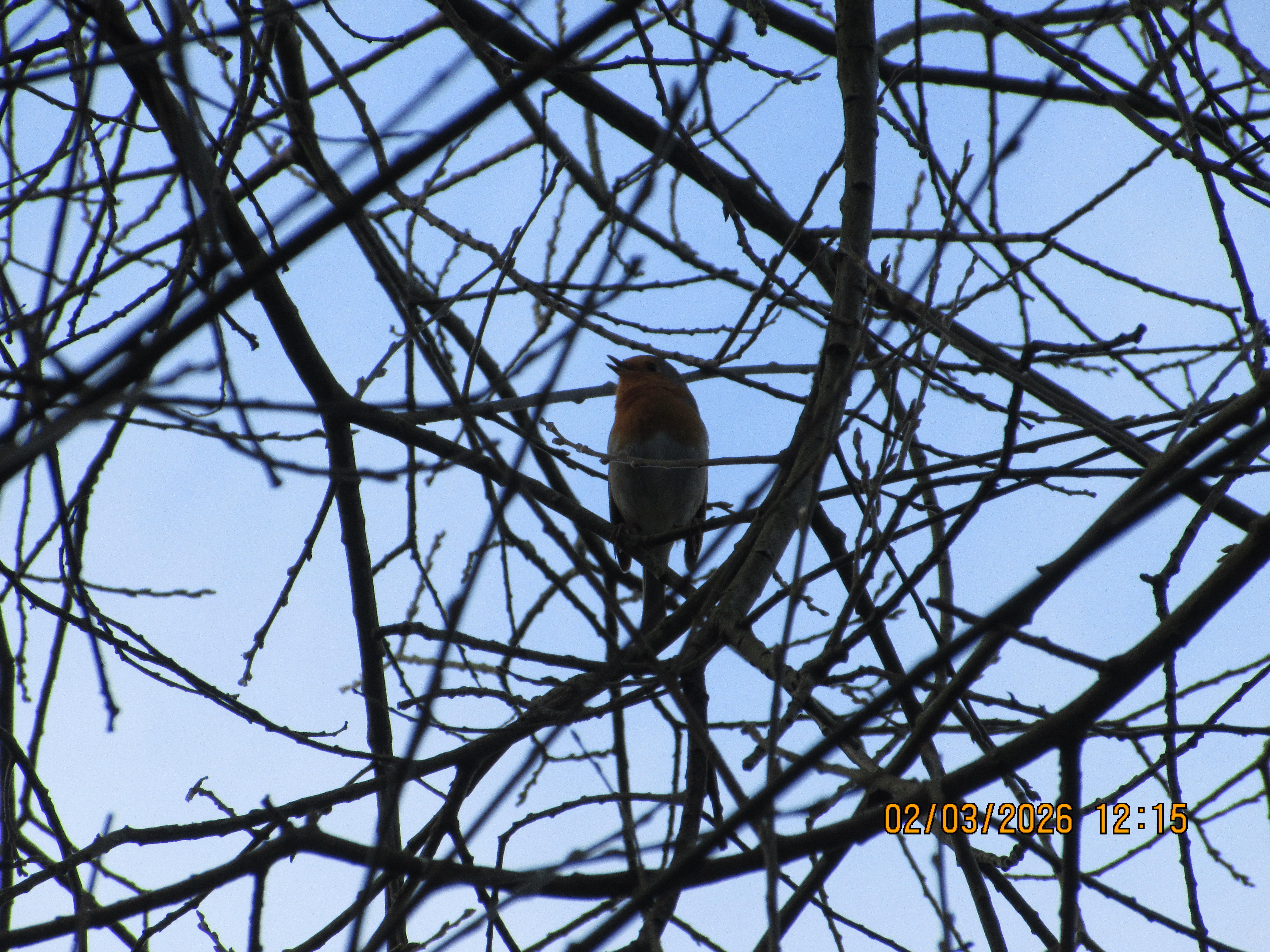 A photo taken on a Canon PowerShot Elph 360 HS A / IXUS 285 HS A compact camera