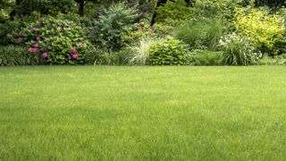 How to aerate your lawn