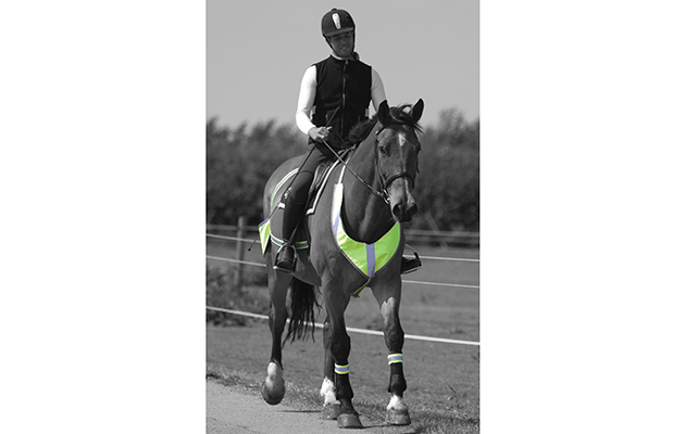 9. Equetech Vision Deluxe Breastplate FRONT