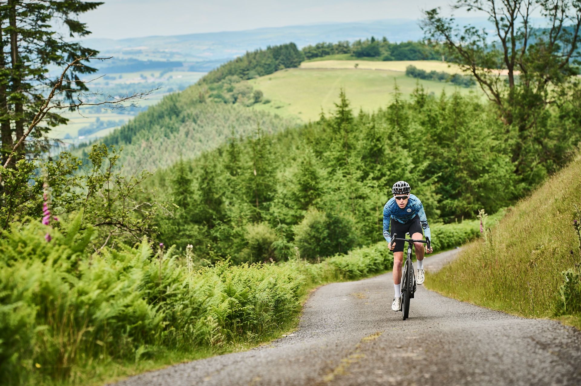 A rider ascending beside evergreen forest
