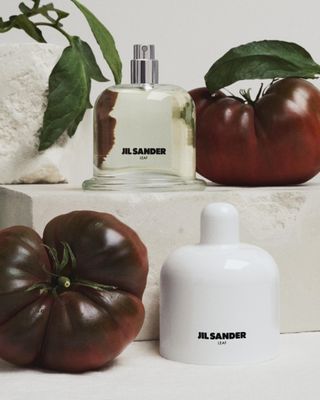 Jil Sander perfume