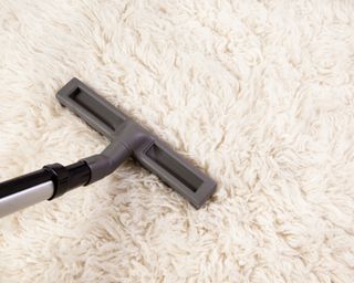 Vacuum cleaning a white shag rug