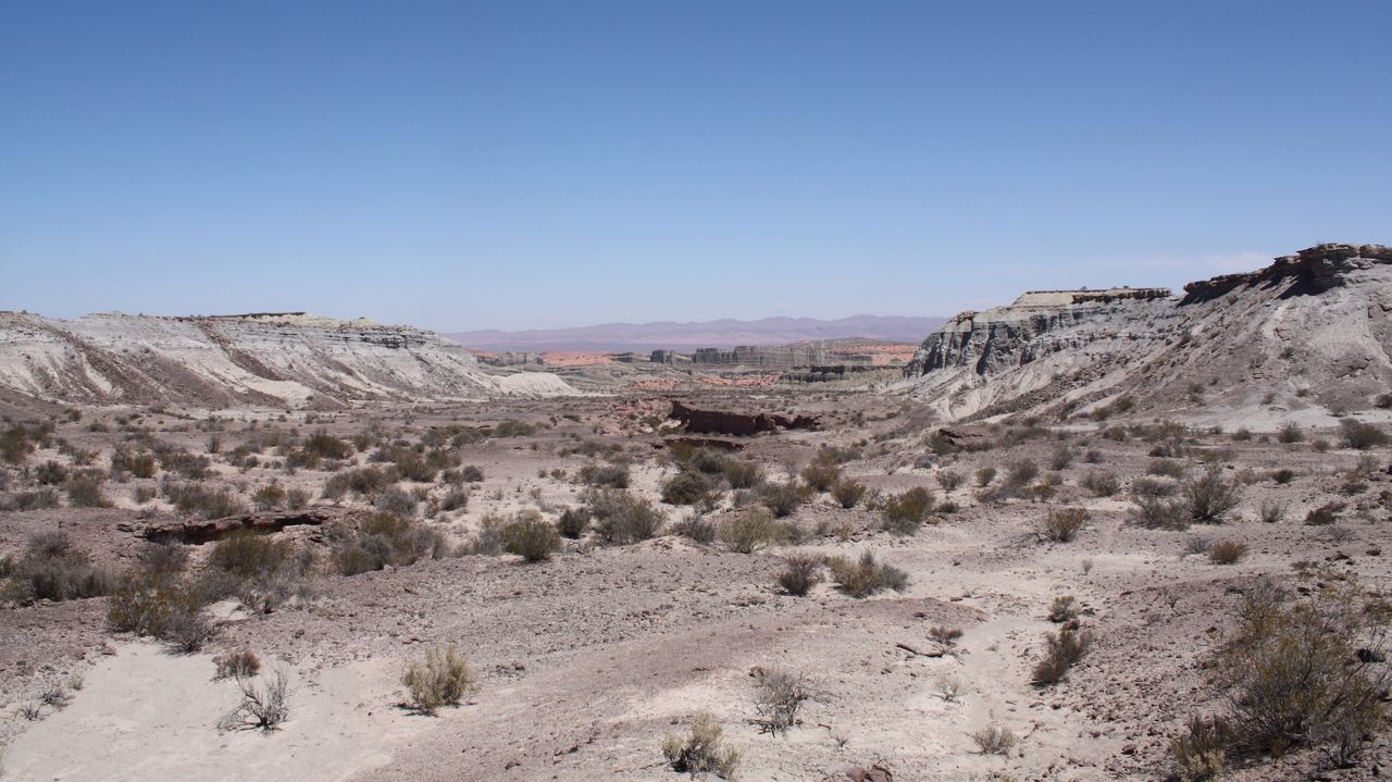 The location in Argentina where researchers found the lagerpetid Lagerpeton.