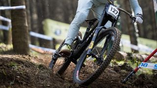 Specialized Cannibal downhill tire