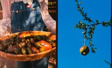 do luxury hotels need a farmer in residence