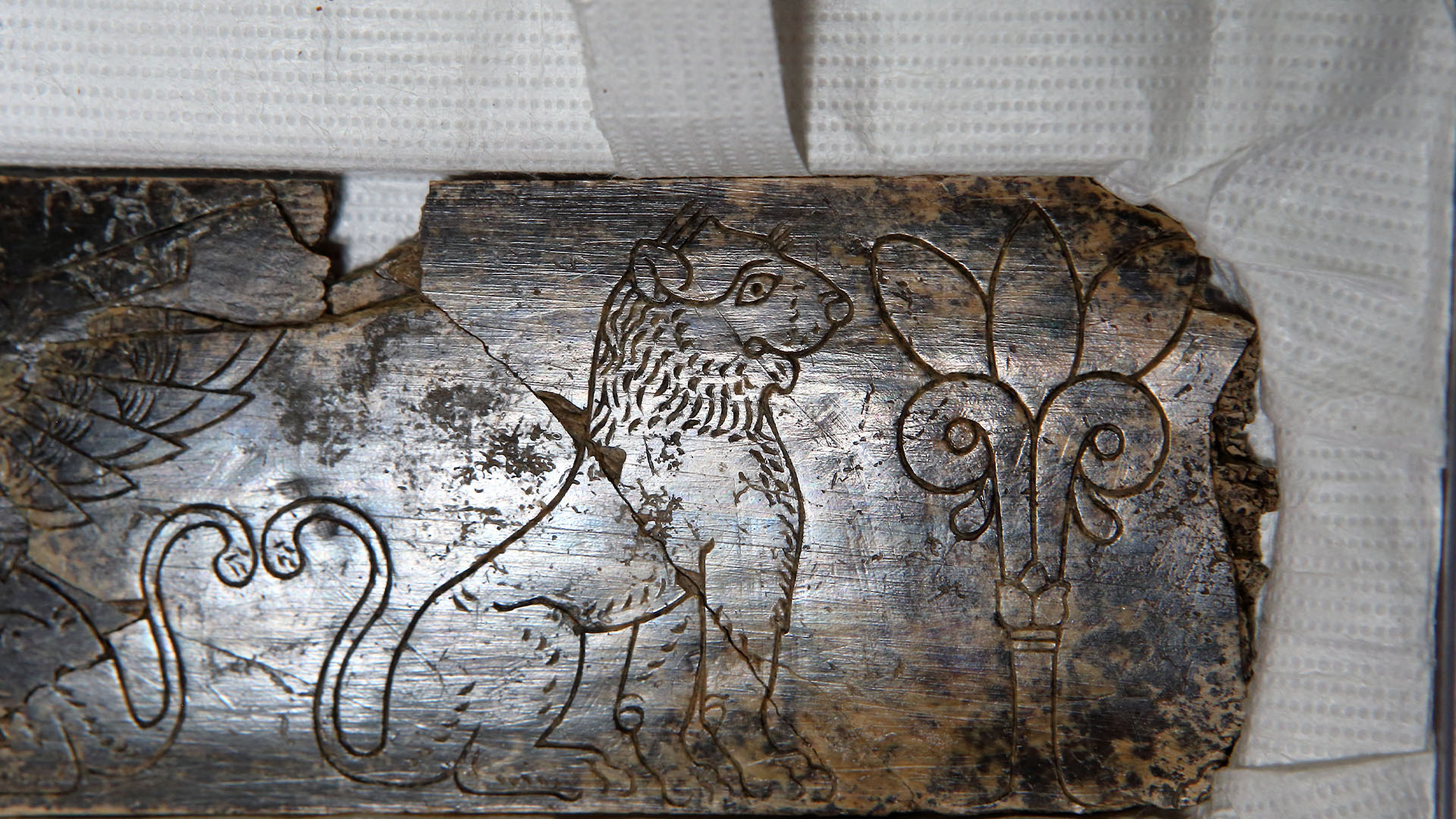 Close up of carved elephant ivory on a white display from the Iron Age.