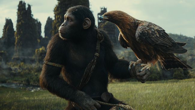 Everything We Know About Kingdom Of The Planet Of The Apes 