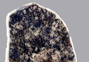 1.8 billion-year-old fossil-bearing rock