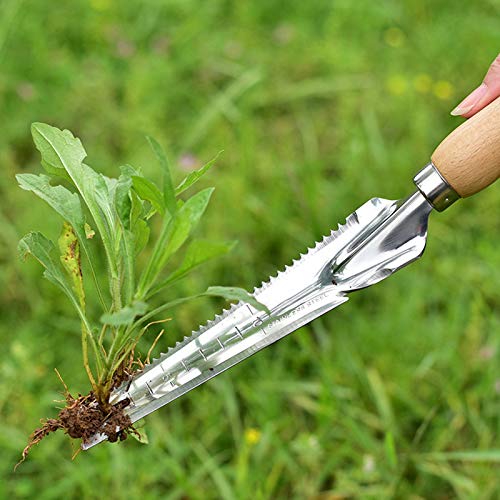 Garden Weeding Tools Multifunctional Manual Weeder Stainless Steel Weed Remover Tool, Wooden Handle Weeder With Measure, Dandelion Removal Tool Hand Weed Puller for Garden Yard Patio Lawn Transplant