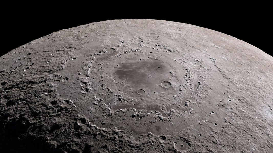 the large bulge of the moon rises from below, dominating all but the top fifth, black top portion of the image.