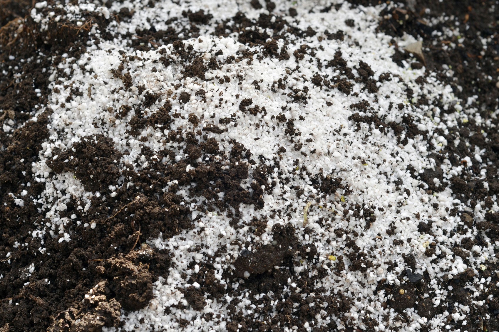 What Is This White Stuff In My Soil?? - All About Perlite – Dahing