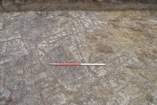 Archeologists also discovered criss-crossing lines in a trench made by ards, or prehistoric ploughs.