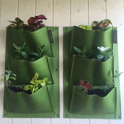 Green Shoe Organizers Used As Vertical Planters