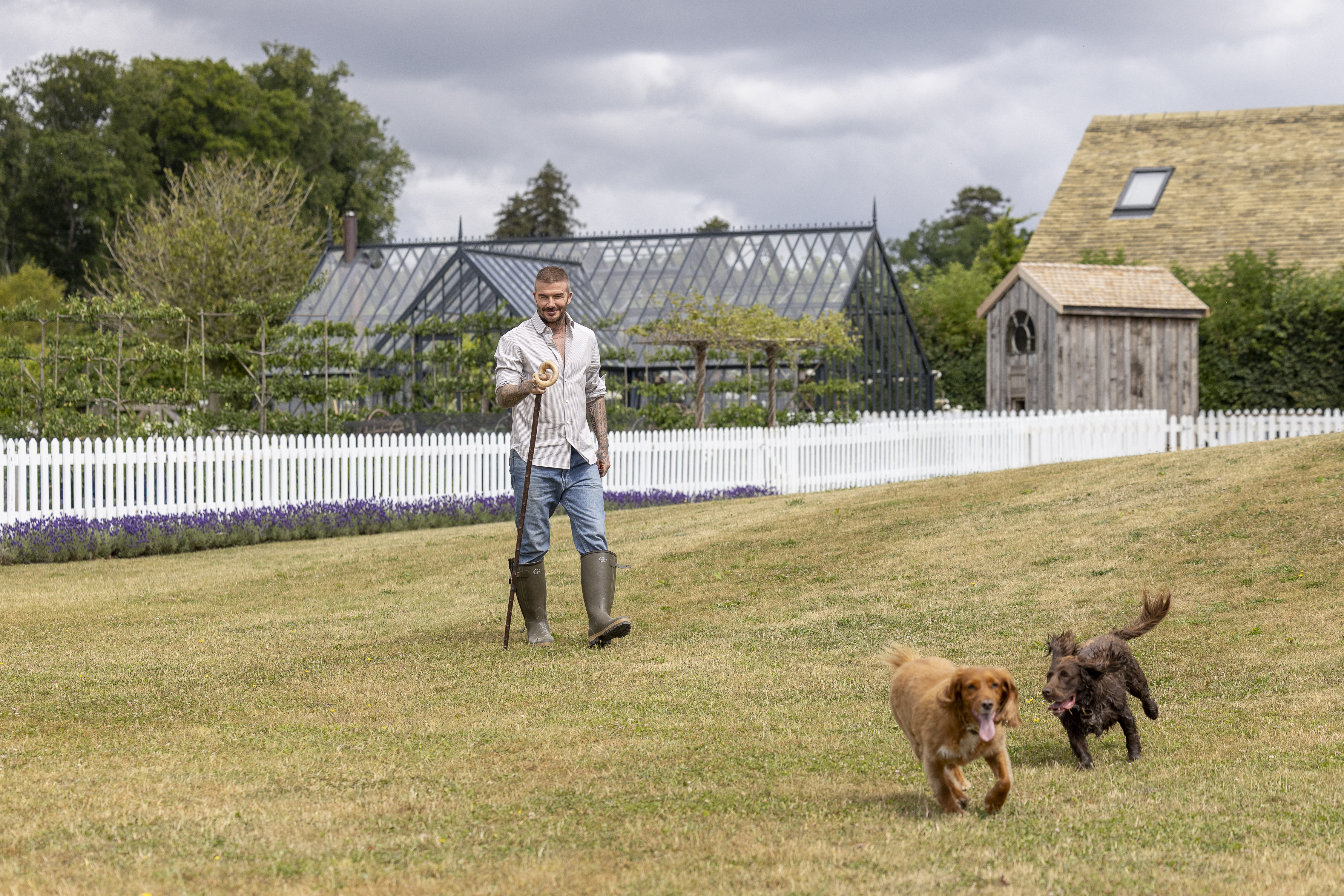 David Beckham is pictured enjoying the countryside with his two Cocker spaniels — one golden, one brown — in a series of relaxed outdoor scenes. He’s seen sitting on the back of a green Land Rover surrounded by wildflowers, sharing an affectionate moment with one of his dogs, walking them across the lawn beside a white picket fence and glasshouse, and sitting by the water’s edge on a wooden bridge bordered by reeds and lavender. In another image, he sits on garden steps lined with purple blooms, his spaniels at his side, perfectly capturing the easy charm of country life.