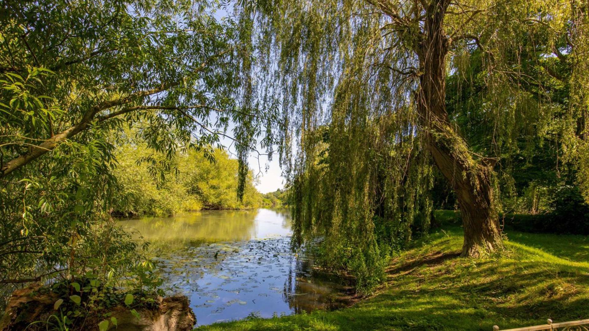 an image of part of the land which comes with the house. It is a large inlet of the river Thames which has large weeping willows overhanging it and grassy banks