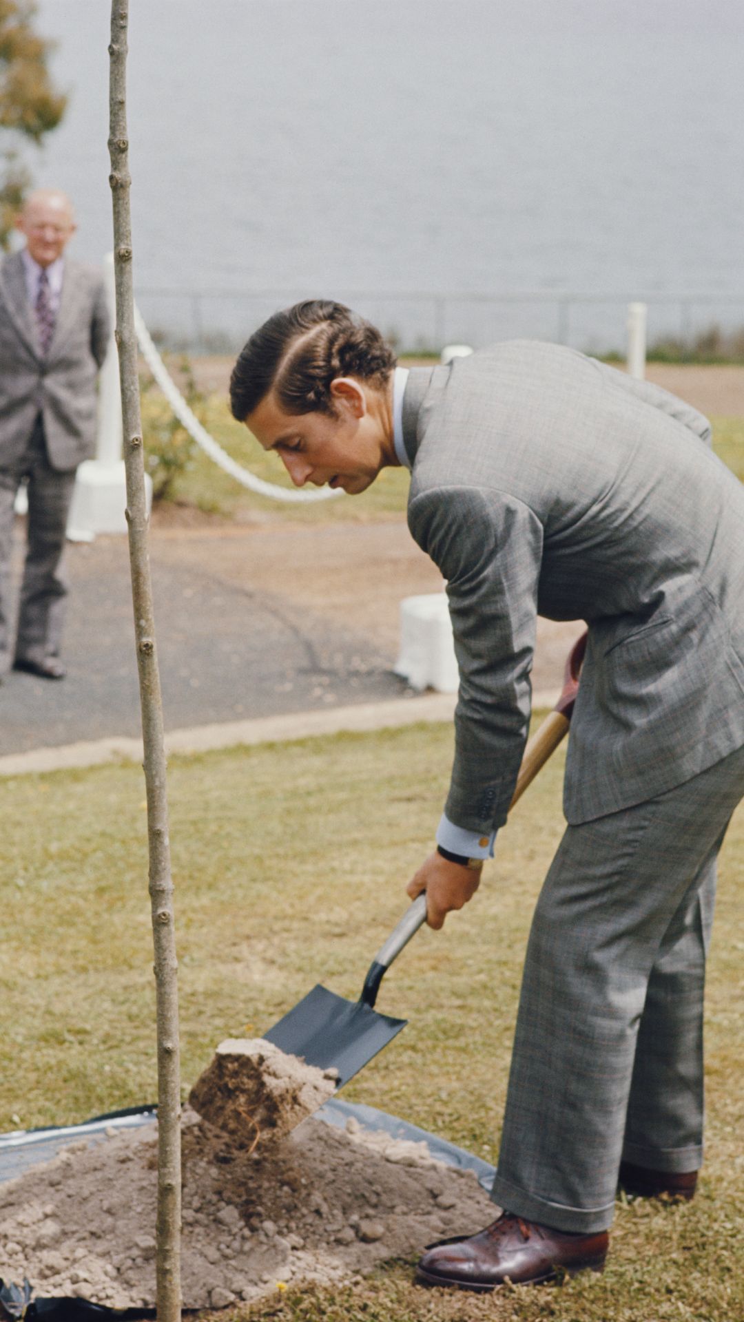 King Charles planting a tree.