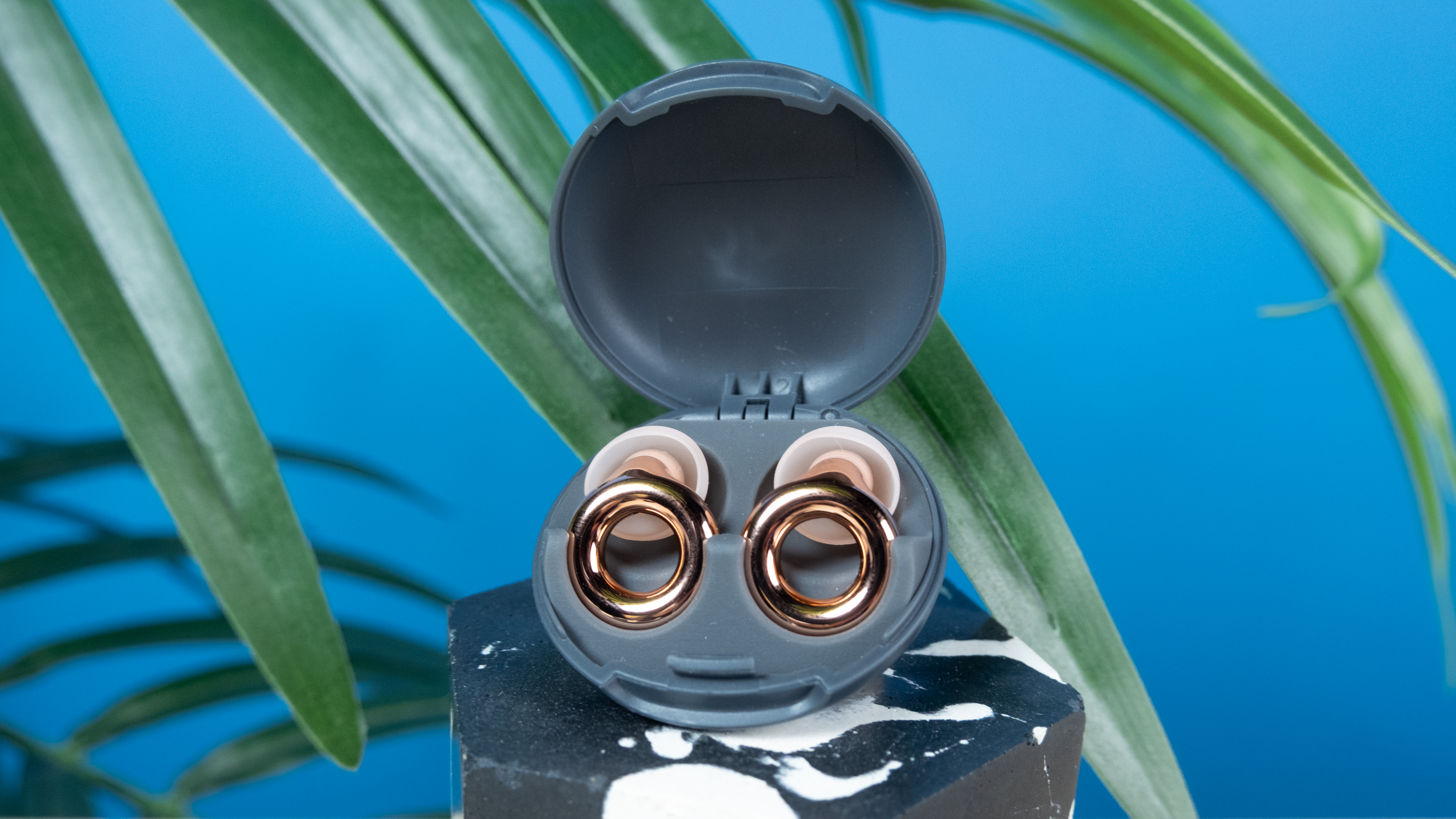 Loop Experience 2 Plus earplugs