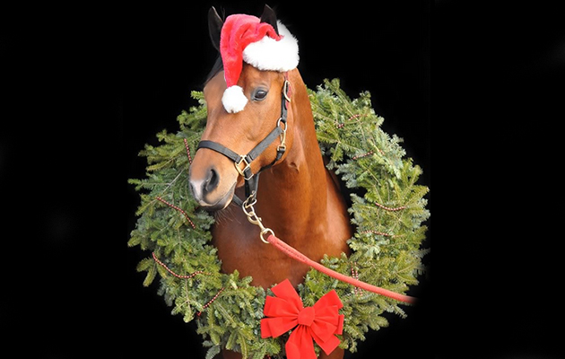 christmas.jpg