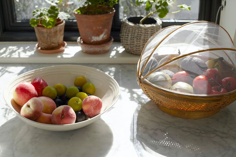 How to get rid of fruit flies – fruit bowls on countertop