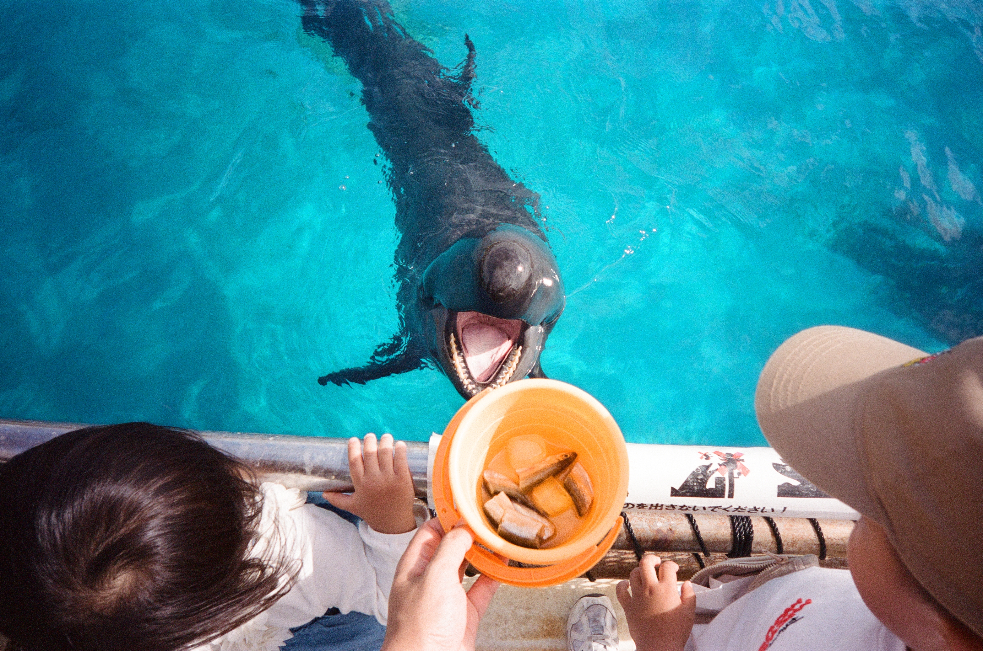 Kodak Snapic A1 sample image