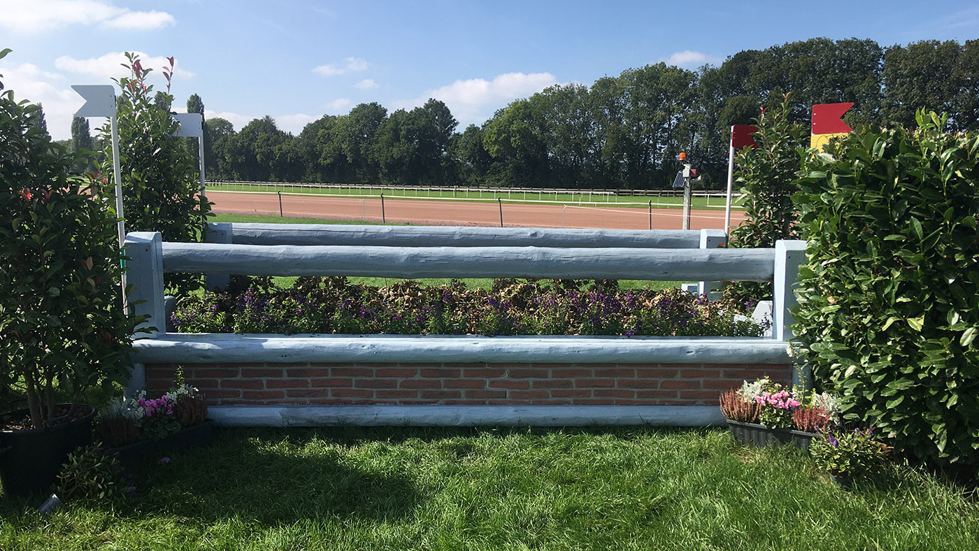 European Eventing Championships cross-country course: fence 3