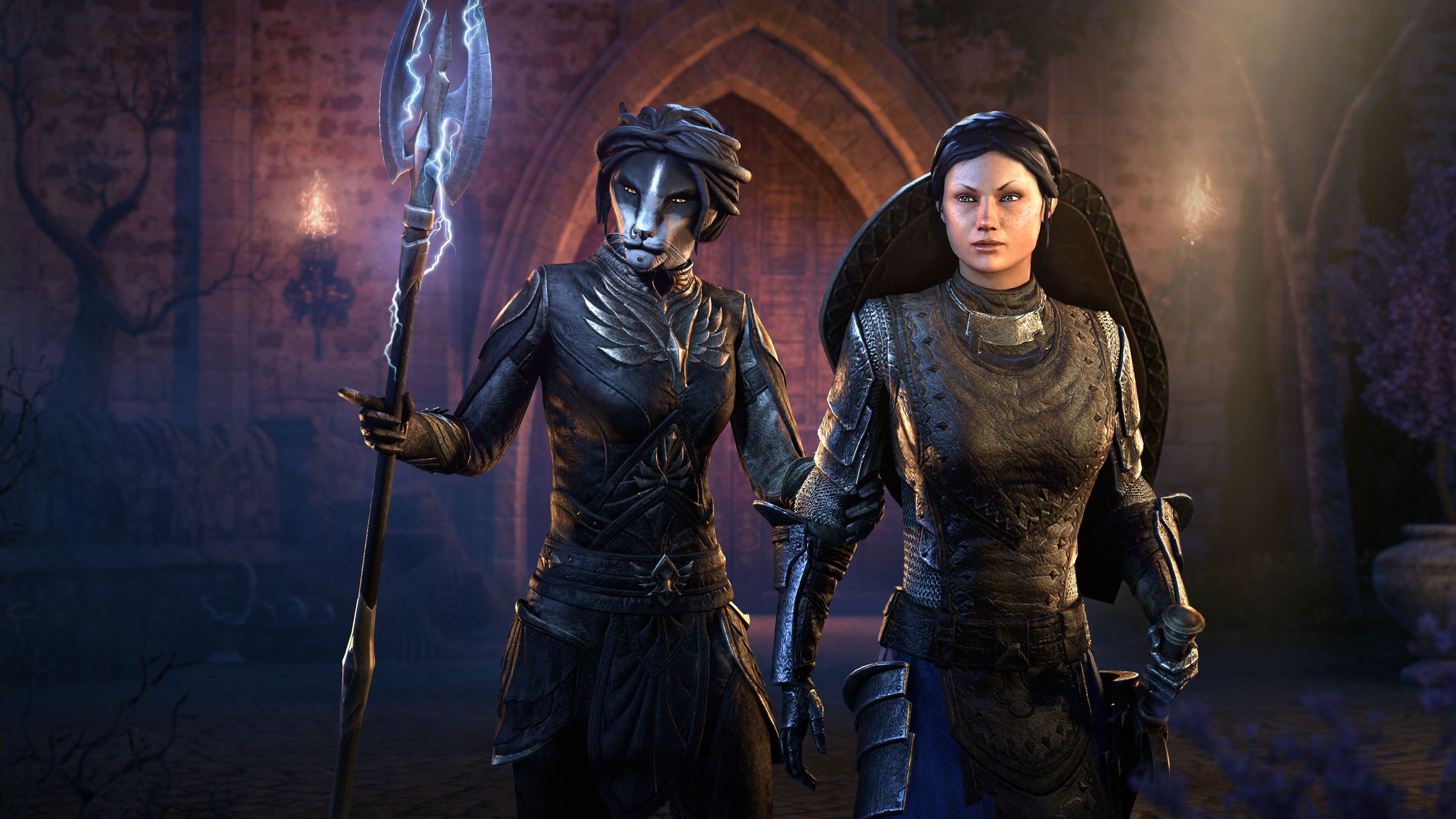 The Elder Scrolls Online Summerset - Cinematic Trailer - 6