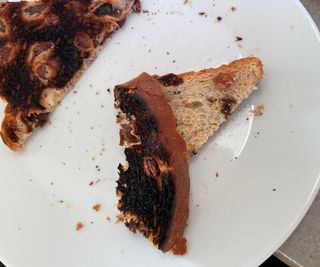 Breville Die Cast 4-Slice Toaster burnt fruit bread