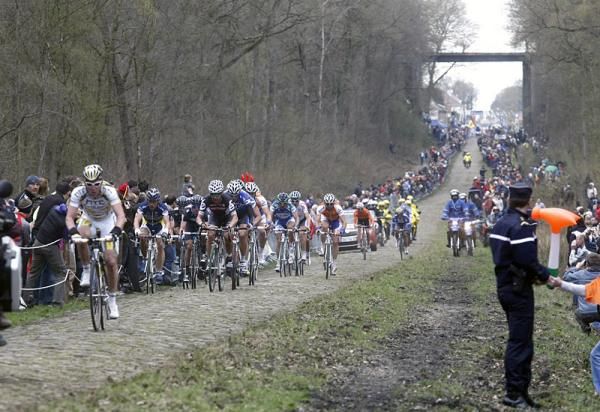 The peloton races through the Arenberg forest.