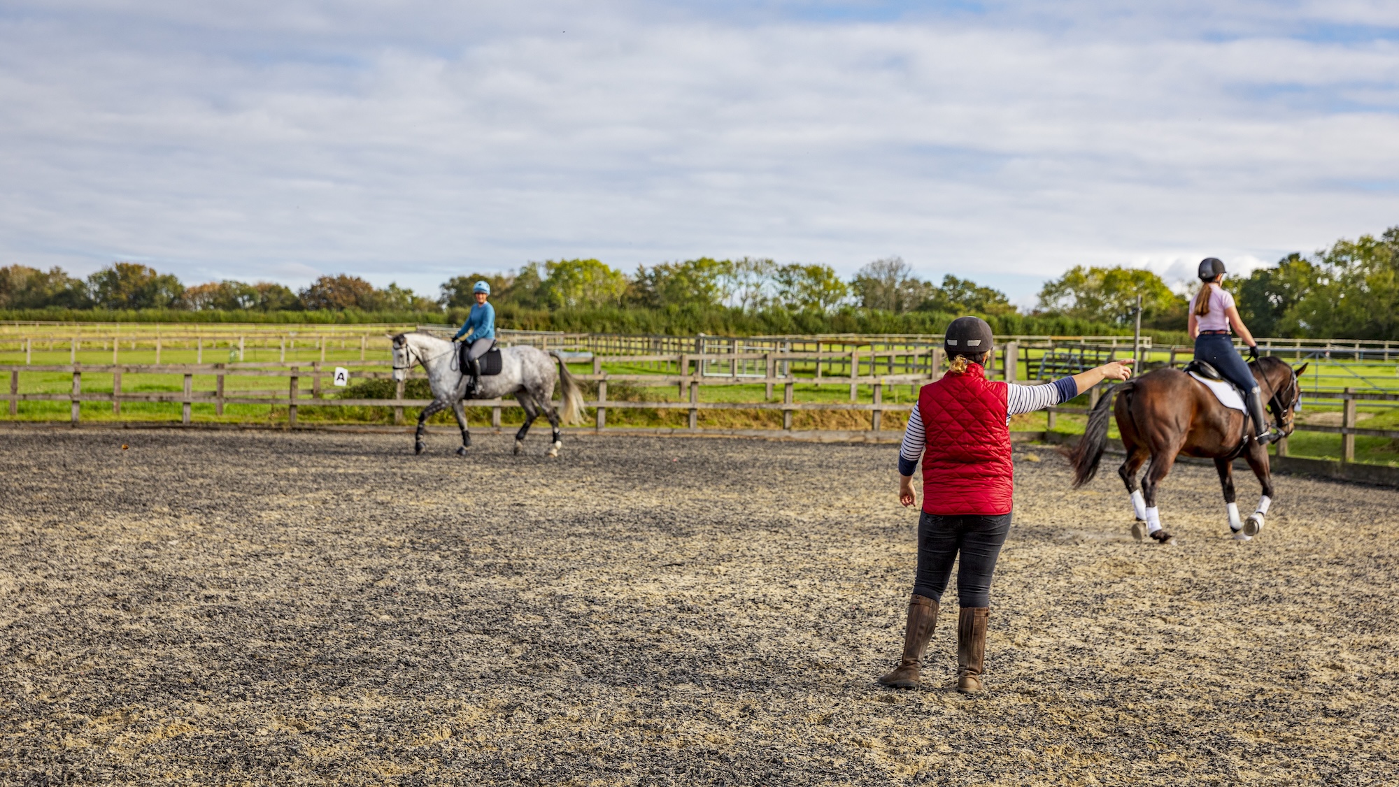 TEACHING HORSES HORSE RIDER INSTRUCTOR TWO ARENA SAND SCHOOL TROTTING CANTER WALK TROT WALKING LESSON LESSONS BLUE SKY HOME FENCING DRESSAGE JUMP