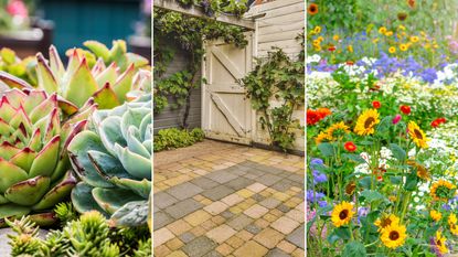 Xeriscaping ideas are useful. Here are three of these - a rock garden with three green spiked succulent plants, a backyard with brown interlocking slabs, a black fence, and white door, and a meadow garden with colorful flowers
