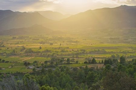 corbieres vineyards in southern france